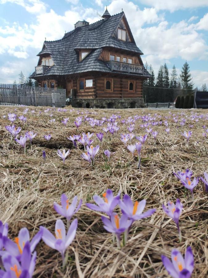 Willa Giewontka Witów Exterior foto